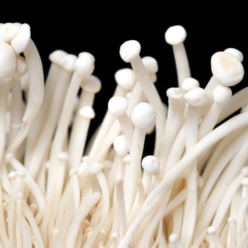 white-enoki-mushrooms